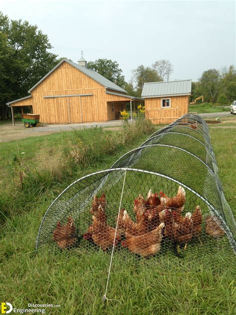 Building A Cheap Chicken House at Valerie Brouillette blog