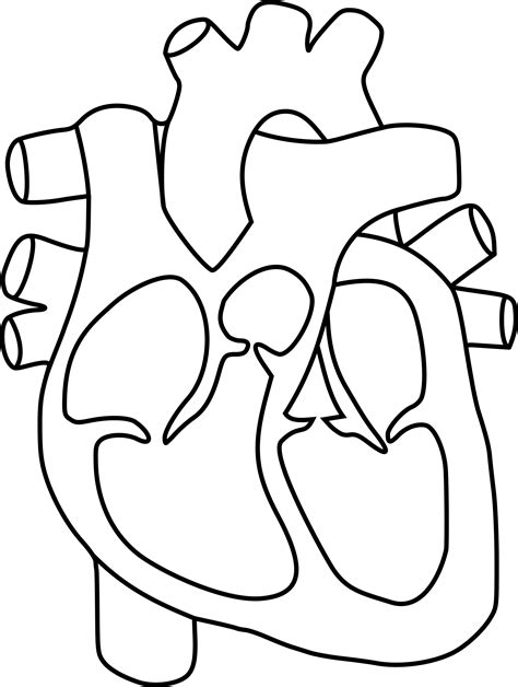 Free Heart Science Cliparts, Download Free Heart Science Cliparts png images, Free ClipArts on ...