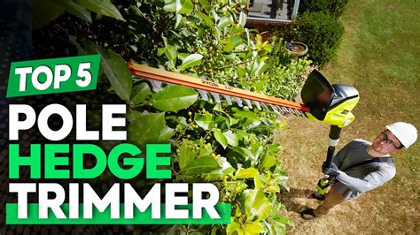 Best Electric Pole Hedge Trimmer 2024 for Pruning & Trimming Branches ...