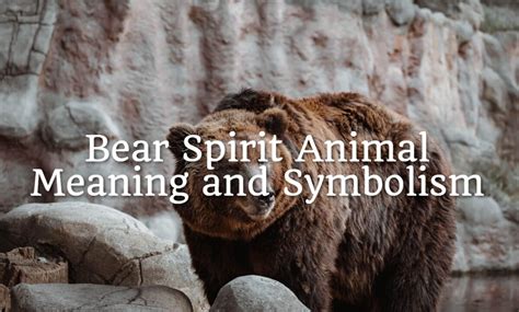 Bear Spirit Animal Meaning and Symbolism - Spirit Animal Encyclopedia