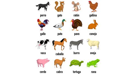 Clasificación de los animales domésticos según su hábitat | El Popular