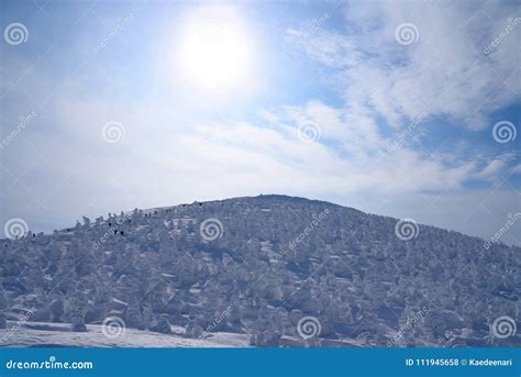 Snow Monsters of Mt.Zao in Yamagata, Japan Stock Photo - Image of frost ...