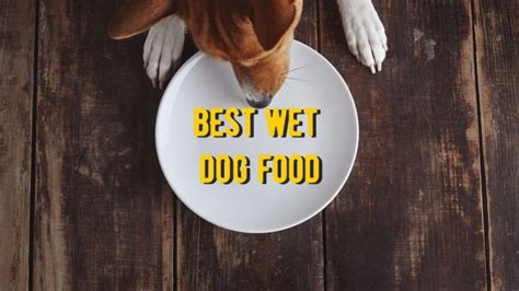 ᐉ Best Wet Dog Food: TOP 25 Rated Wet Foods for Dogs Reviews