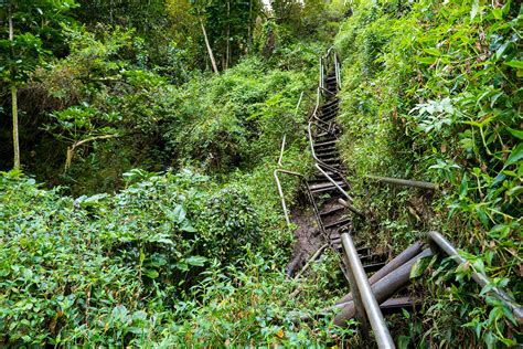 Stairway to Heaven Oahu – 1 Life on Earth