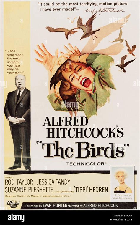 The Birds - Movie Poster Stock Photo - Alamy