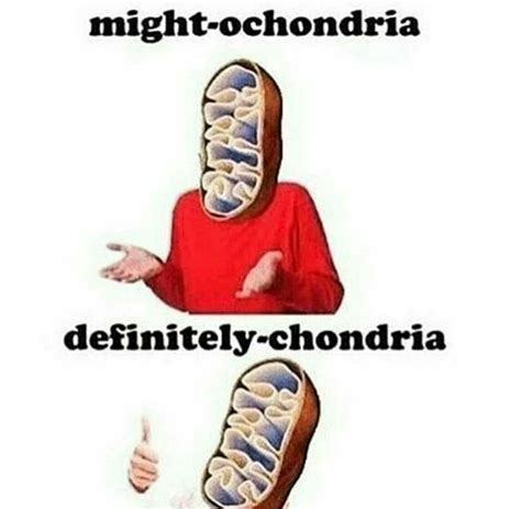 Biology Memes