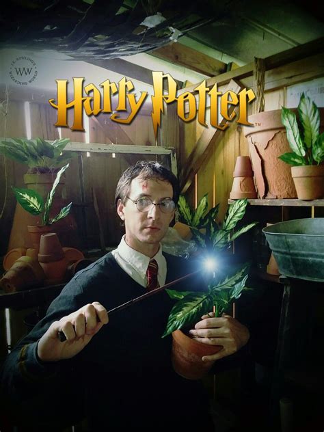 Mandrake | Harry potter mandrake, Harry potter, Mandrake