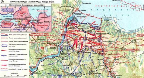 The Siege of Leningrad: Hell on Earth During WWII