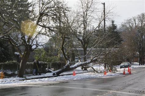 Springfield Oregon Snowstorm 2012.. Snow damage Mill Street ...