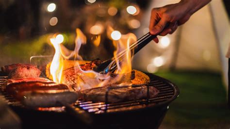 10 Best BBQ Grills & Smokers With Steven Raichlen: Ultimate Buyer's Guide