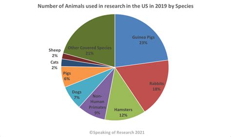 The Fundamentals of Animal Testing in Clinical Research