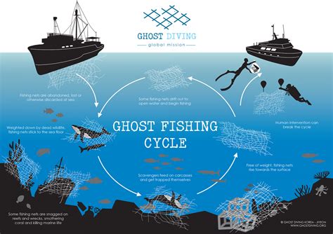 What is ghost fishing and how can we save whales getting caught in old nets? | World Economic Forum