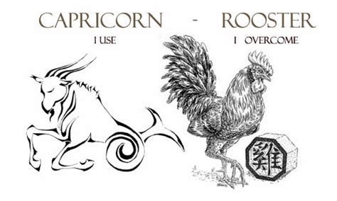 Capricorn Rooster Personality Traits | Capricorn Life - Capricorns Rock!