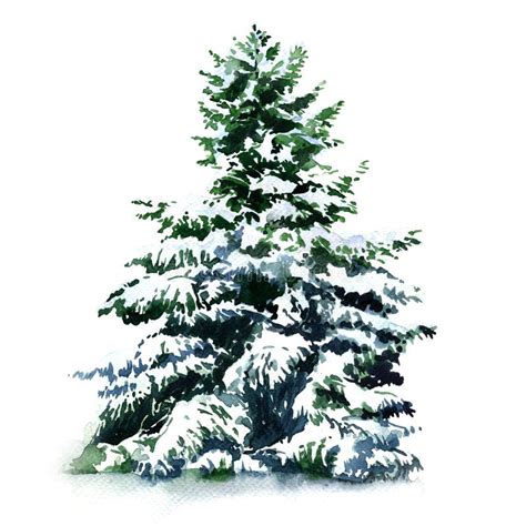 Christmas Tree Covered Snow In Winter, Isolated Stock Illustration - Image: 61696000