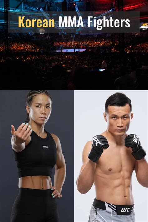 7 Best Korean MMA Fighters in the UFC and Other Organizations