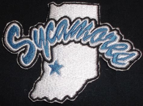 Indiana State Sycamores Logo Iron On Patch - Beyond Vision Mall