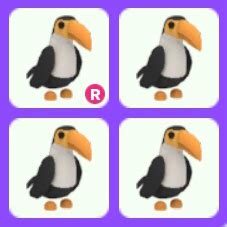 Pet | Toucan R Bundle x4 - Game Items - Gameflip