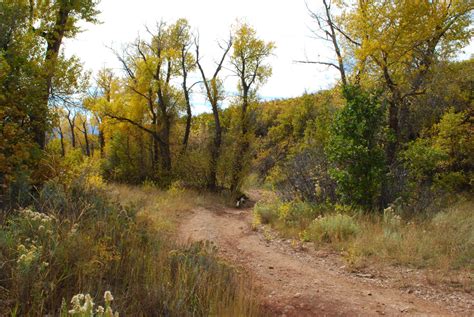 Trails Trekker: Dutch Hollow Trails