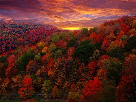 60 Breathtaking Fall Pictures - The Photo Argus