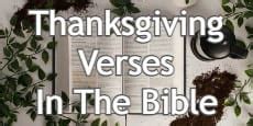 12 Thanksgiving Verses In The Bible