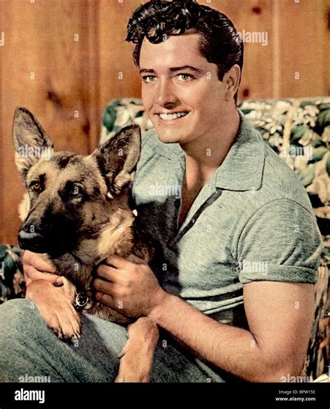 JOHN DEREK & DOG ACTOR (1950 Stock Photo - Alamy