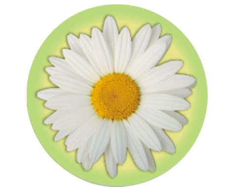 The Daisy Award