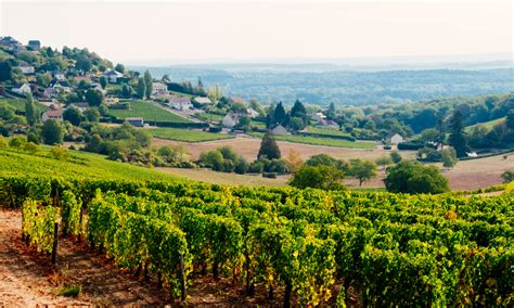 Your 2024 guide to Sancerre in Loire Valley region | Winetourism.com