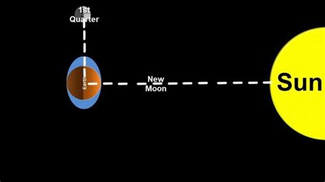 Spring Tide Diagram