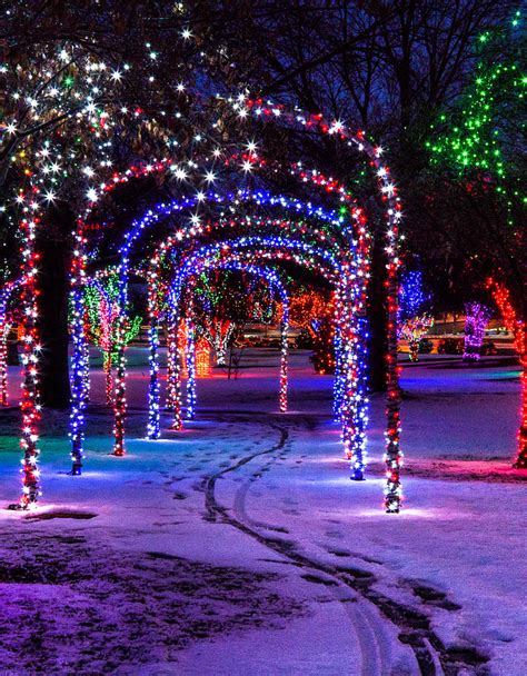 Christmas Lights In The Park Photograph by Brad Stinson