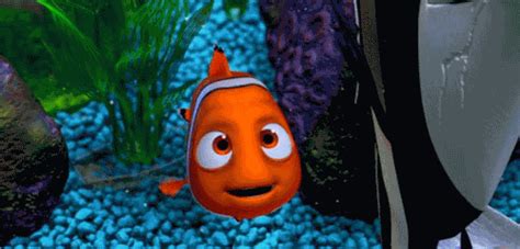Le Monde de Dory : Pixar pourrait mettre les poissons en danger