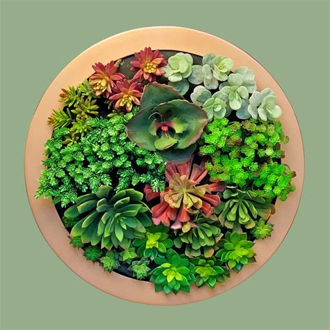 Porthole Circular Wall Frame - Europlanters