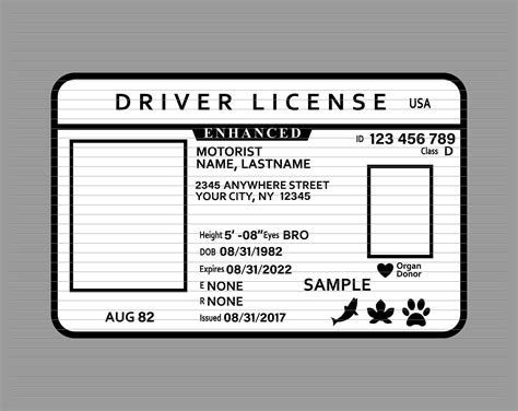 Drivers License Template