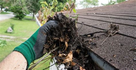 Gutter Cleaning Services & Gutter Cleaners | Thumbtack