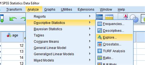 How to Do Descriptive Statistics on SPSS - StatAnalytica