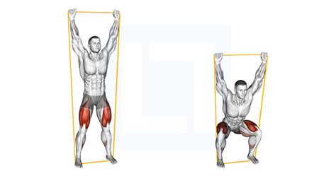 Resistance Band Overhead Squat - Guide, Benefits, and Form