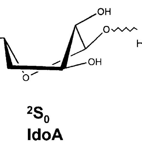 Cartoon of a heparan sulfate proteoglycan, showing the structure of the... | Download Scientific ...