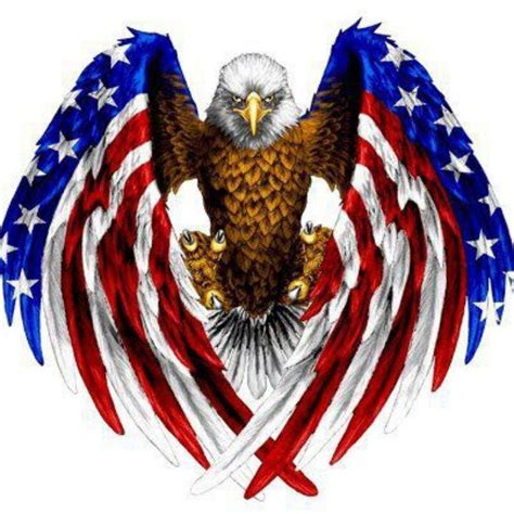 American flag eagle | BALD EAGLES | Pinterest