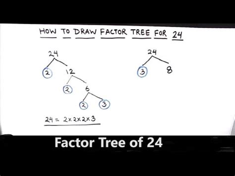 How to Draw Factor Tree of 24 / Factor Tree Method of Prime ...