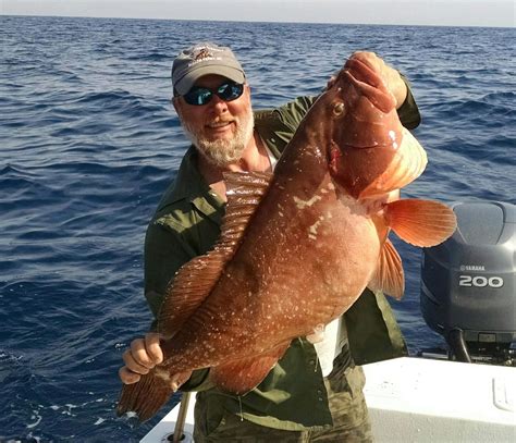 Red grouper | Coastal Angler & The Angler Magazine