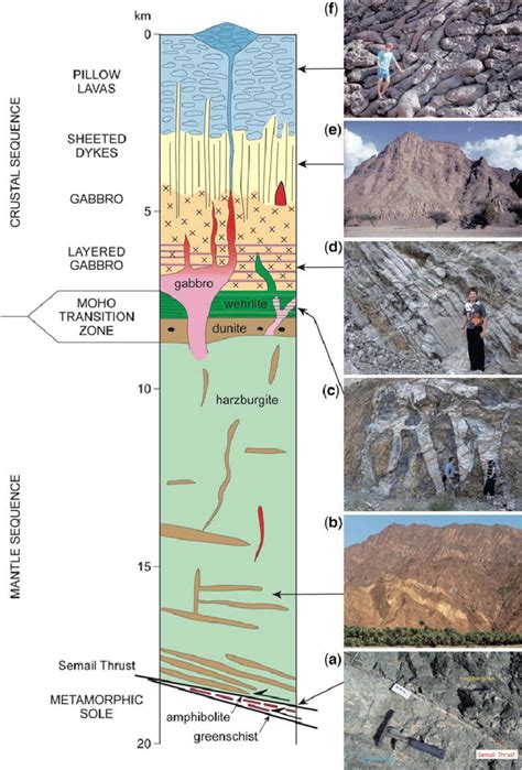 The main lithologies and structural sequence in the Oman Ophiolite,... | Download Scientific Diagram