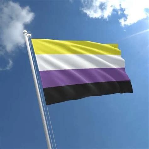 NON-BINARY PRIDE FLAG 5ft x 3ft Rainbow Inclusive Flags with Eyelets LGBTQIA+ EUR 4,06 - PicClick FR