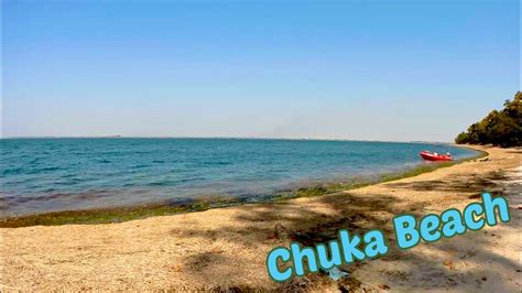 Trip to Chuka Beach II Pilibhit Tiger Reserve II Dudhwa National Park ...