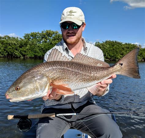 Quick Facts: Florida Inshore Fishing Records | Crystal River Florida Fishing Adventures