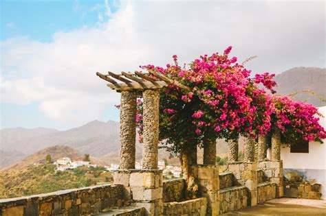 EXPLORE TEJEDA, A CHARMING VILLAGE IN GRAN CANARIA