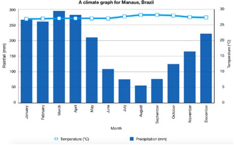 Climate Graph Of Amazon Rainforest