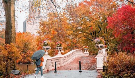 These Stunning Snapshots Perfectly Capture New York City's Changing ...