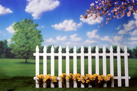 picket fences | Tanara McCauley