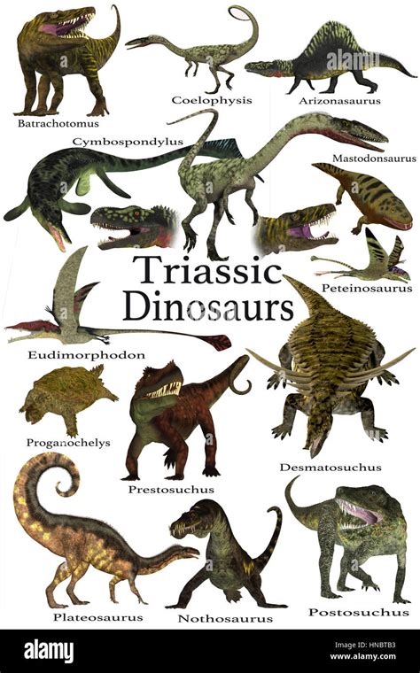 Triassic Dinosaurs Chart