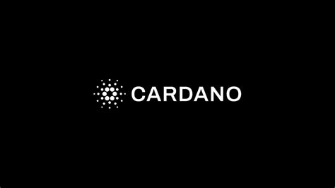 Cardano Foundation Announced Details About Managing Healthcare Data on ...