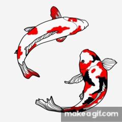 KOI FISH on Make a GIF